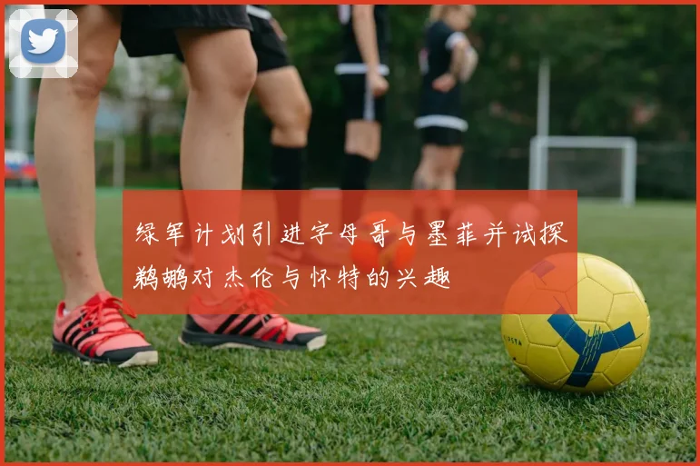 绿军计划引进字母哥与墨菲并试探鹈鹕对杰伦与怀特的兴趣